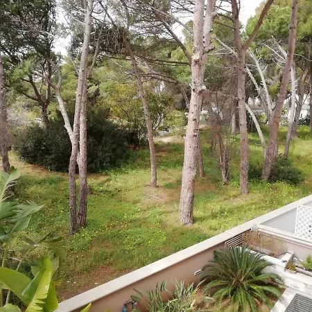 Apartment Casa Corin